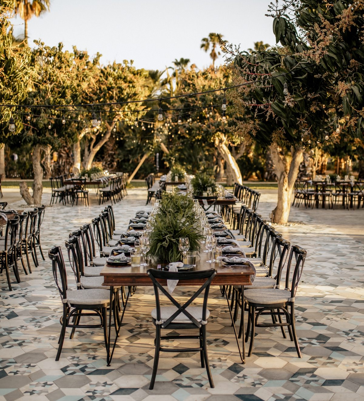 Acre Baja Wedding this beautiful wedding in a desert oasis brings Mexico