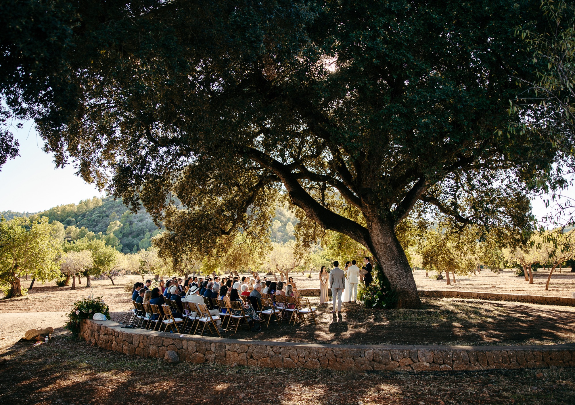 finca son togores wedding ceremony under the big oak trees