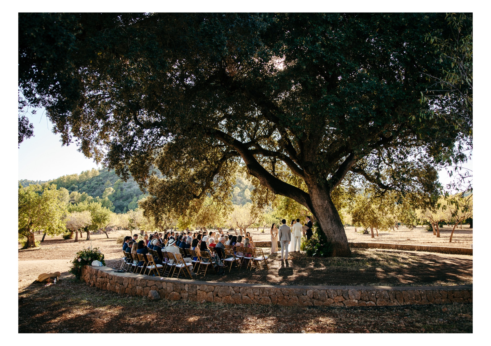 Mallorca Wedding in the nature unter two big oak trees