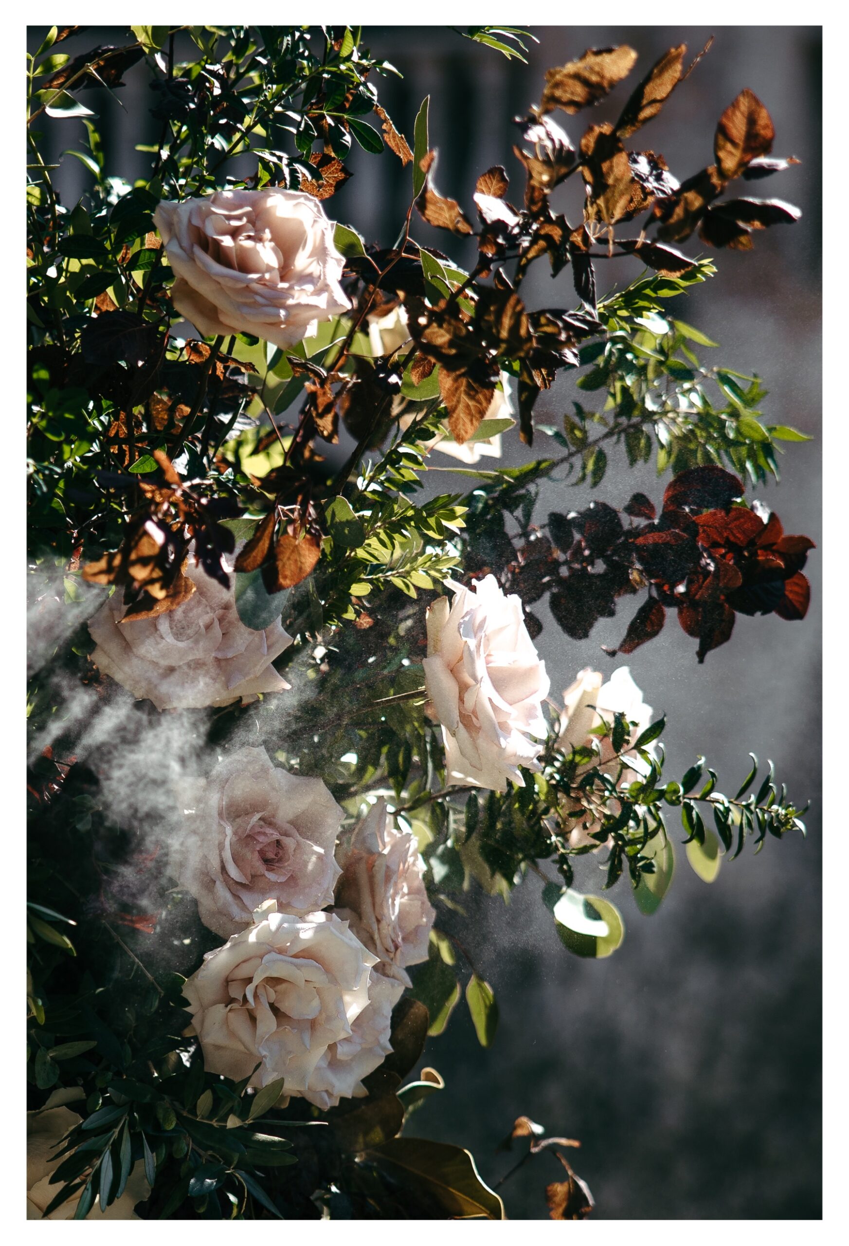 flowers for your wedding in Puglia